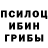 Галлюциногенные грибы Psilocybe askold 57