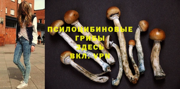гашик Абаза